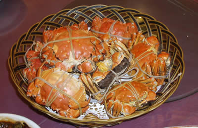 091126e.jpg