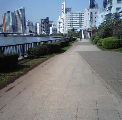 隅田川