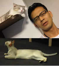 猫と私